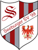 Wappen Seeburger SV 99 diverse  101001