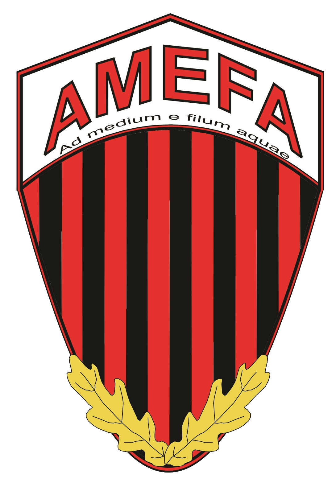 Wappen AS AMEFA Cluj-Napoca
