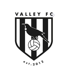 Wappen Valley FC  117016