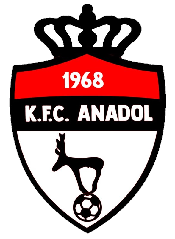 Wappen FC Anadol  40000