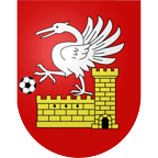 Wappen FC Château-d'Oex  39519