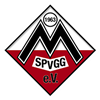 Wappen SpVgg. Mitterdorf 1963 diverse  49288