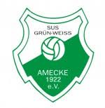 Wappen ehemals SuS Grün-Weiß Amecke 1922  114187
