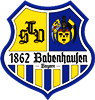 Wappen TSV 1862 Babenhausen diverse  82346
