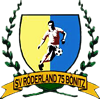 Wappen ehemals SV Röderland 75 Bönitz  37372