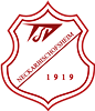 Wappen TSV Neckarbischofsheim 1919 diverse  29814