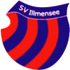 Wappen SV Illmensee 1971 diverse