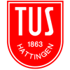 Wappen TuS Hattingen 1863  5160