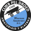 Wappen Blaenau Ffestiniog Amateurs FC  35600