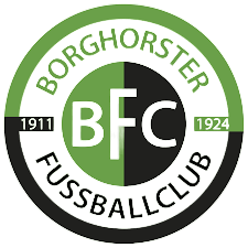 Wappen Borghorster FC 11/24 diverse  60774