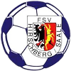 Wappen FSV Hirschberg 1921  27471