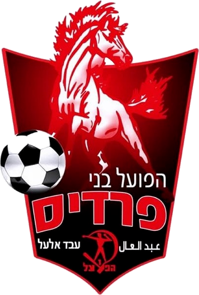 Wappen Hapoel Bnei Fureidis  102582