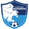 Wappen BB Erzurumspor  24540