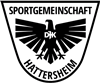Wappen SG DJK Hattersheim 1966 diverse  97433