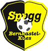 Wappen SpVgg. Bernkastel-Kues 1920 diverse  111422