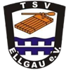 Wappen TSV Ellgau 1970 diverse  93952