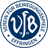 Wappen VfB Effringen 1921 diverse  53177