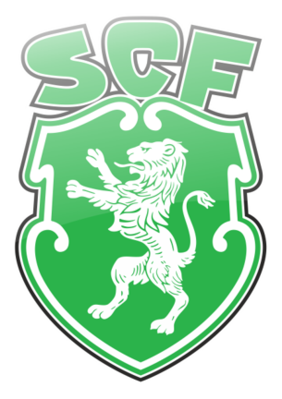 Wappen SC Ferreirense  98695