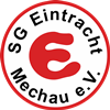 Wappen SG Eintracht Mechau 1990 diverse