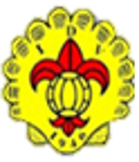 Wappen Desportivo Vieirense  85652