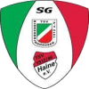 Wappen SG Birkenbringhausen/Haine (Ground B)