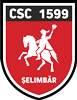 Wappen CSC 1599 Șelimbăr  27136