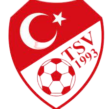 Wappen Türkischer SV Ahaus 1993  16804
