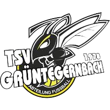Wappen TSV Grüntegernbach 1978 diverse  74404