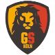 Wappen GSK Galatasaray Köln 2015  34475