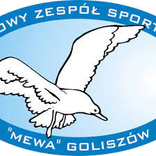 Wappen LZS Mewa Goliszów  29713