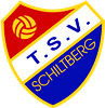 Wappen TSV Schiltberg 1964 diverse