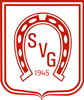 Wappen SV Gommersheim 1945  63310