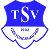 Wappen TSV Gestungshausen 1902 II  62202