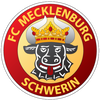 Wappen FC Mecklenburg Schwerin 2009 diverse  98908