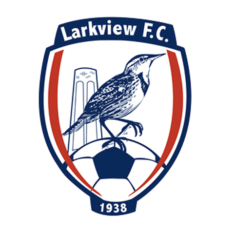 Wappen Larkview Boys FC  124273
