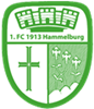 Wappen 1. FC 1913 Hammelburg diverse  66893