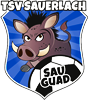 Wappen TSV Sauerlach 1925 diverse  79842