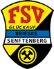 Wappen ehemals FSV Glückauf Brieske/Senftenberg 1919  86301