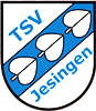 Wappen TSV Jesingen 1899 diverse  39857