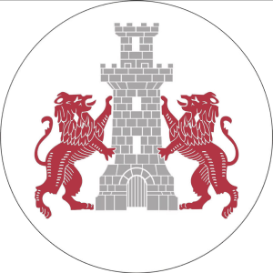 Wappen CSM Cetatea Turnu Măgurele  111987