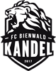 Wappen FC Bienwald Kandel 2017  13991