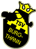 Wappen TSV Burgthann 1930 diverse  56872