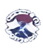 Wappen ehemals Royal Wallonia FC Nessonvaux Fraipont  105649