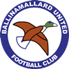 Wappen Ballinamallard United FC  5512