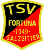 Wappen TSV Fortuna Salzgitter 1949 diverse  88771