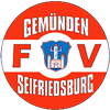 Wappen FV Gemünden/Seifriedsburg 2007 diverse