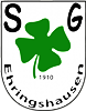 Wappen SG 1910 Ehringshausen diverse  58601