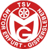 Wappen TSV Motor Gispersleben 1990  27447