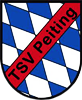 Wappen TSV Peiting 1906 diverse  78905