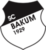Wappen SC Schwarz-Weiß Bakum 1929 diverse  93771